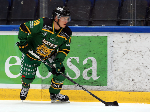 HPK – Ilves