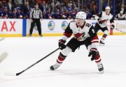 Arizona Coyotes v New York Islanders
