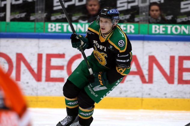 HPK – Ilves