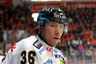 HPK – Kärpät