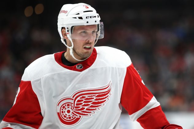 Detroit Red Wings v Anaheim Ducks