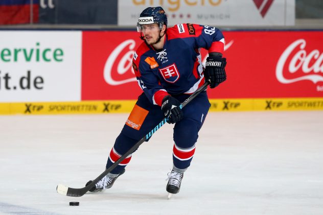 Germany v Slovakia – Deutschland Cup 2014