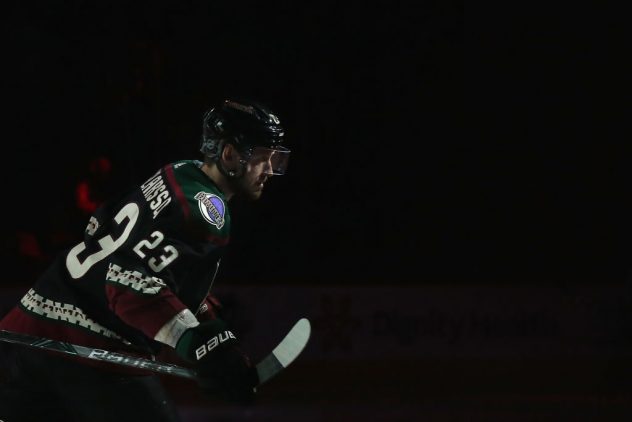 Tampa Bay Lightning v Arizona Coyotes