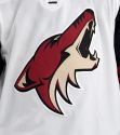 Arizona Coyotes v Vegas Golden Knights