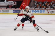 Florida Panthers v Detroit Red Wings