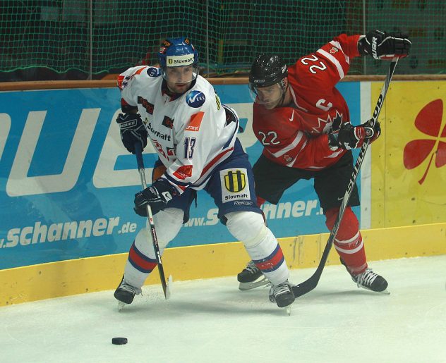 German Ice Hockey Cup 2010