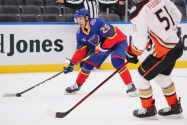 Anaheim Ducks v St Louis Blues