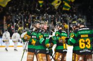 tn_kontiolapetri_ilves20211215