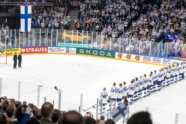 l_leijonatmmkisatkuvitus20230514