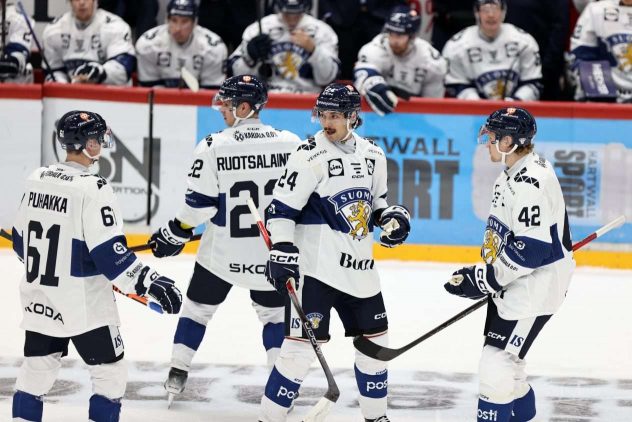 aop_leijonat20241107