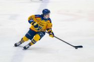 Yllätysveto: Liiga-floppi kutsuttiin NHL-leirille! aop_LovellTim_20250113