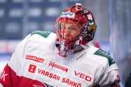Liiga-seuralle hirveä uutinen: ykkösmaalivahti loukkaantui aop_svobodamiroslav20250914