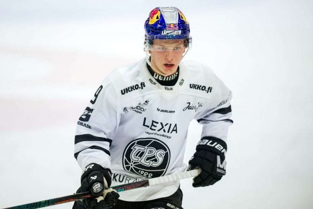 aop_koivuaatos20251110