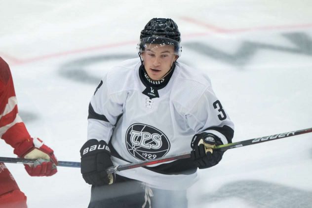 aop_nummelinrene20251117