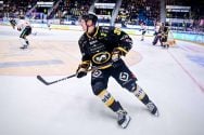 Kärpät: loistouutinen! aop_ratyaku20251101