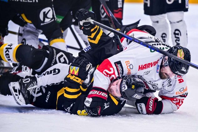 aop_kärpätjyp20251227