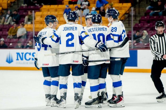 aop_nuoretleijonatkuvitus20251226