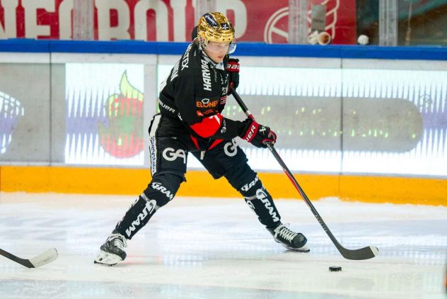 aop_tukiainenleevi20261126