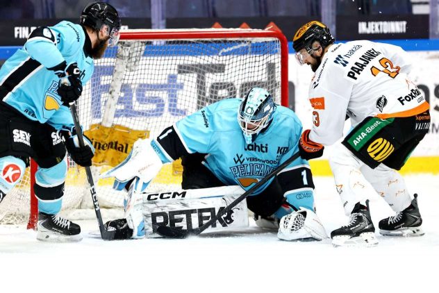 aop_kookoopelicans20260327