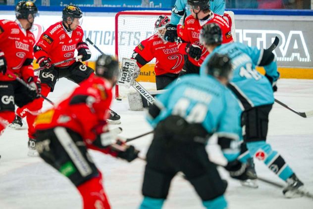 aop_pelicansjyp20260319