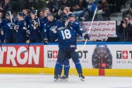 aop_leijonatjuhliikuvitus20260518