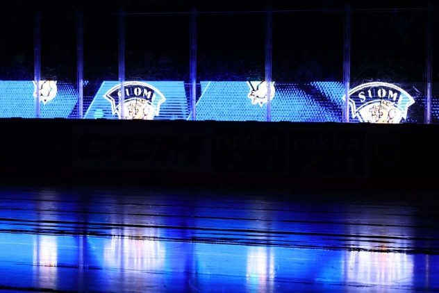 aop_leijonatkuvitus220260428