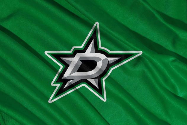 aop_dallasstarskuvitus20241009